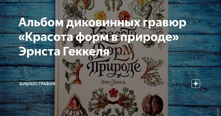 Альбом диковинных гравюр «Красота форм в природе» Эрнста Геккеля